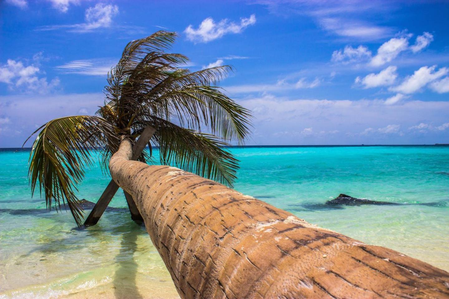 Hotel Ci-Ritorno View Maafushi Zewnętrze zdjęcie